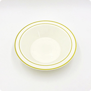 Plastic Bowl